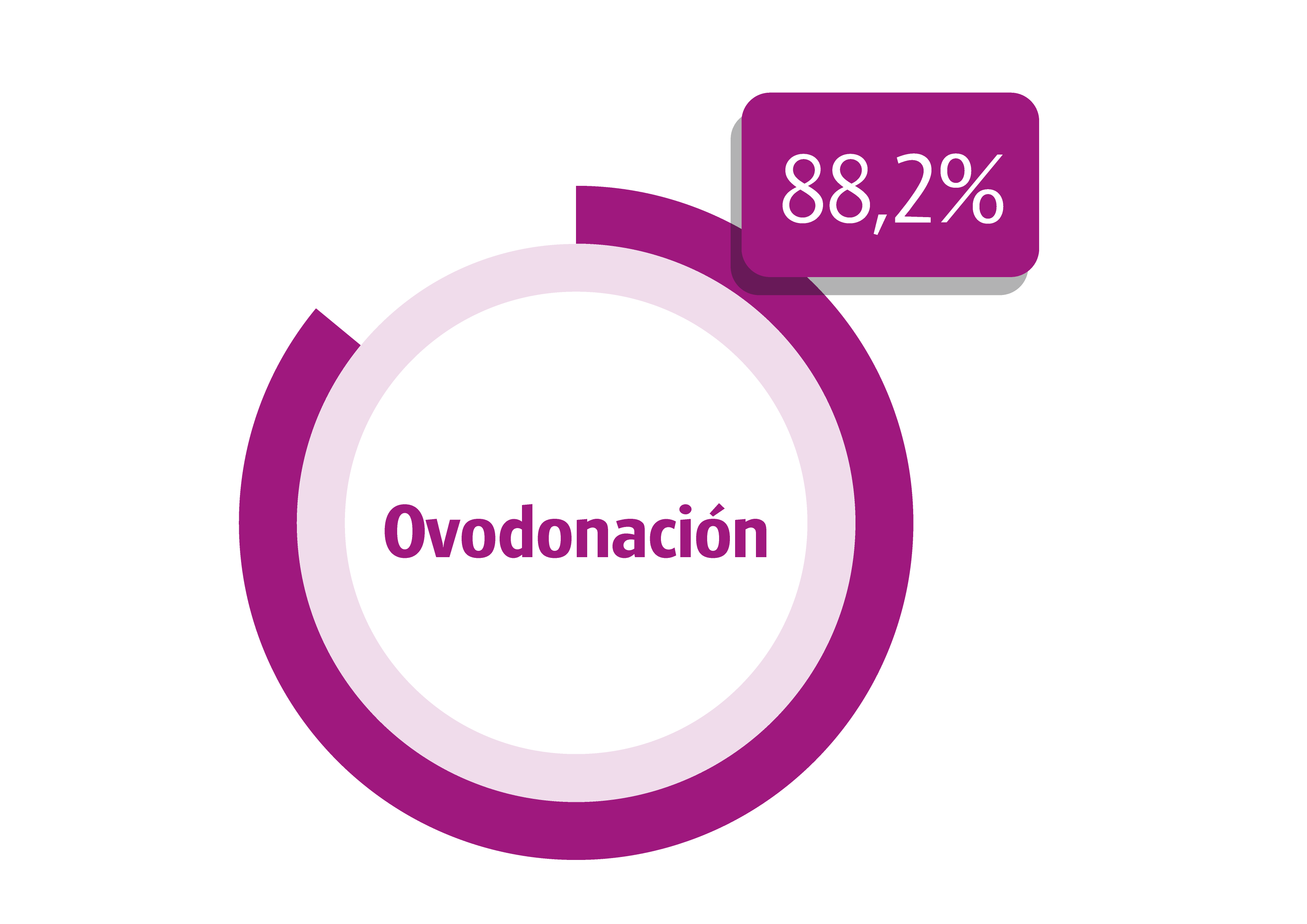 tasa de fertilidad
